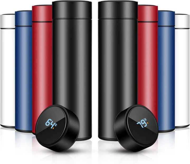 Insulated Temperature Water Bottle